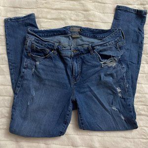 Torrid Jeans